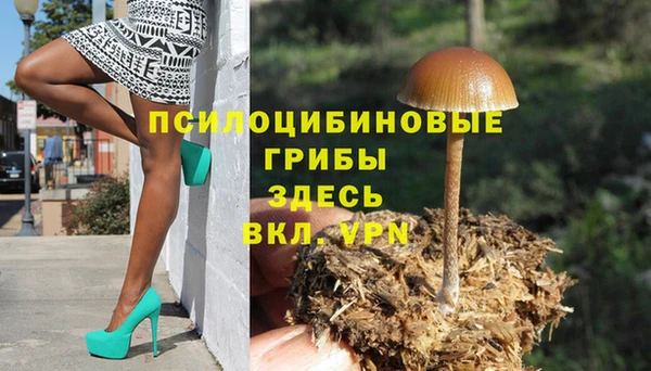 соль курить ск Верея