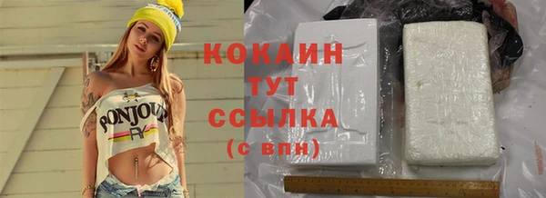 гидра Верхний Тагил
