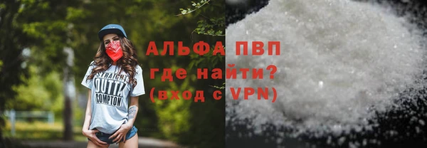 гидра Верхний Тагил