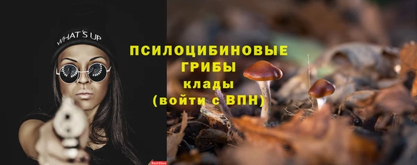 гидра Верхний Тагил