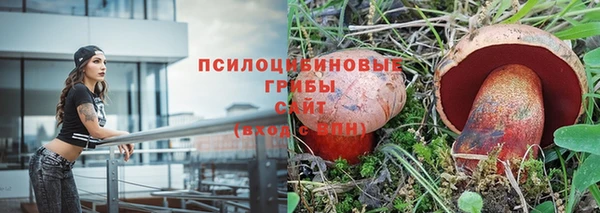 гидра Верхний Тагил