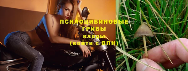 соль курить ск Верея