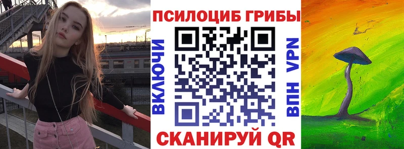 Галлюциногенные грибы прущие грибы Камышлов